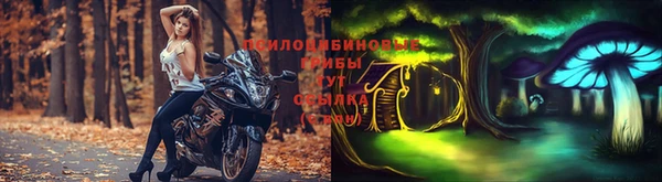 таблы Алексин
