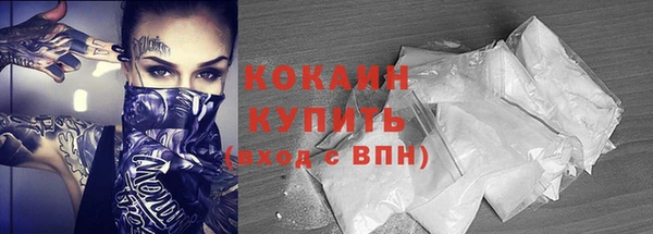 шишки Покачи