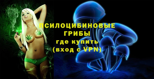 таблы Алексин